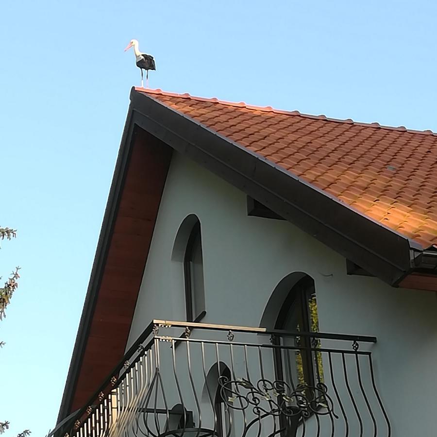 נובה גוטי Gosciniec Twoje Mazury Nad Jeziorem Sniardwy Tuz Obok Plazy מראה חיצוני תמונה